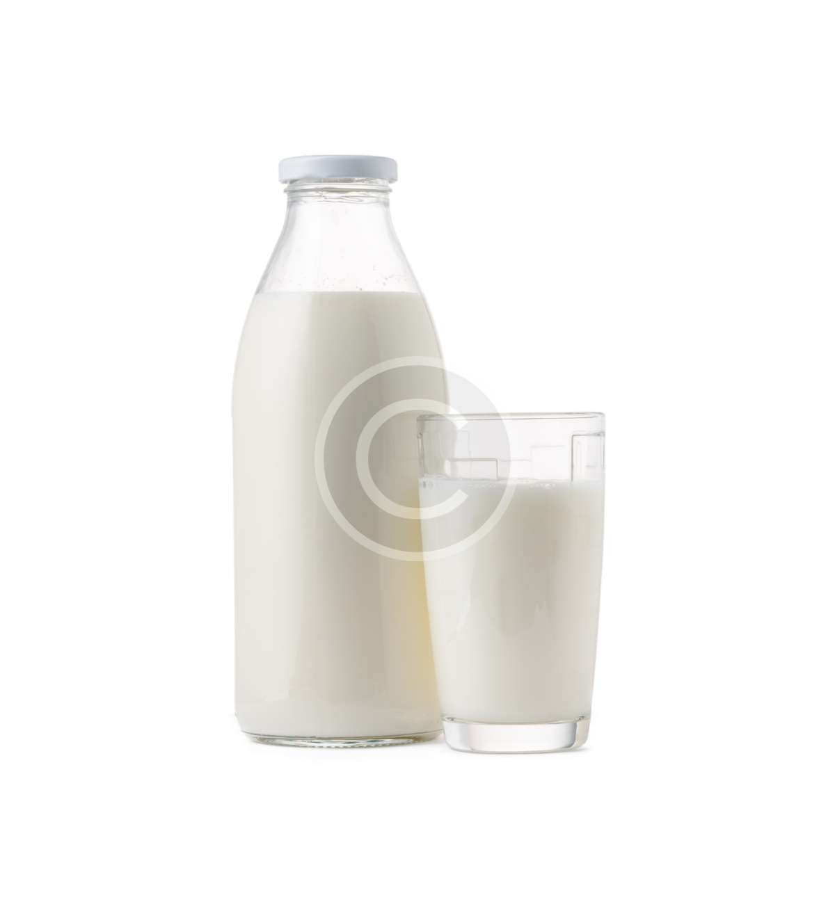 Cottage Cheese - Image 2